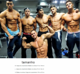 Calças Masculinas Da Gym Shark